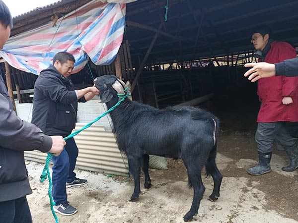 常州市榮仁貿(mào)易有限公司